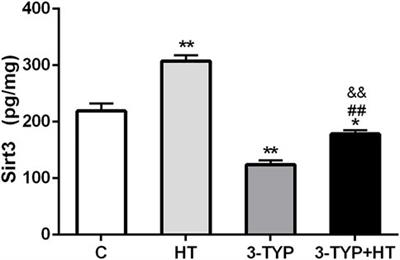 Hypoxic Training Ameliorates Skeletal Muscle Microcirculation Vascular Function in a Sirt3-Dependent Manner